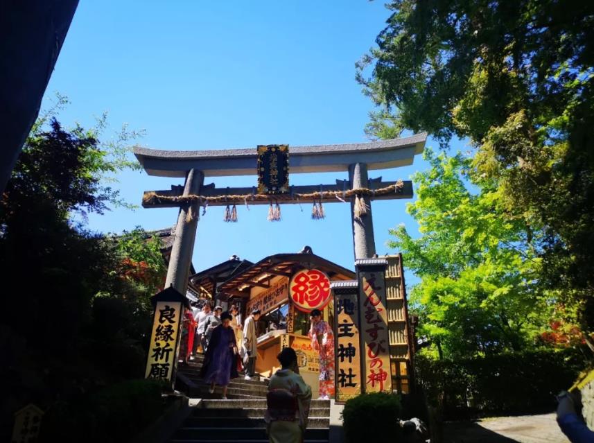 1557452099792461.jpg 16.jpg