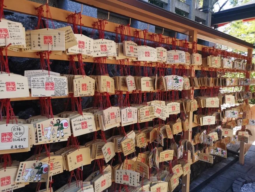 1557452104178440.jpg 17.jpg