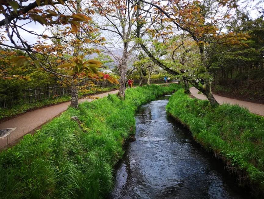 1557452177472034.jpg 21.jpg