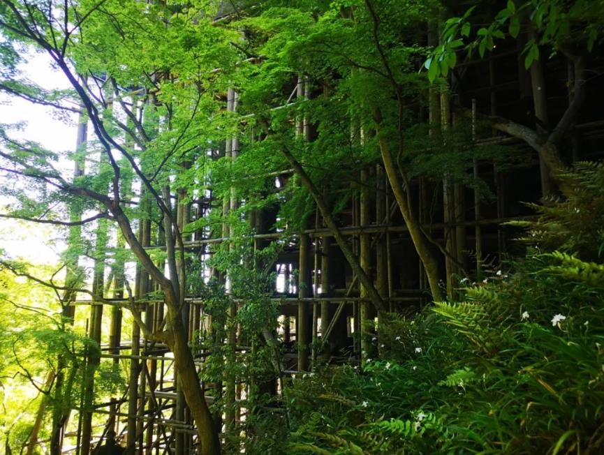 1557452183317641.jpg 22.jpg