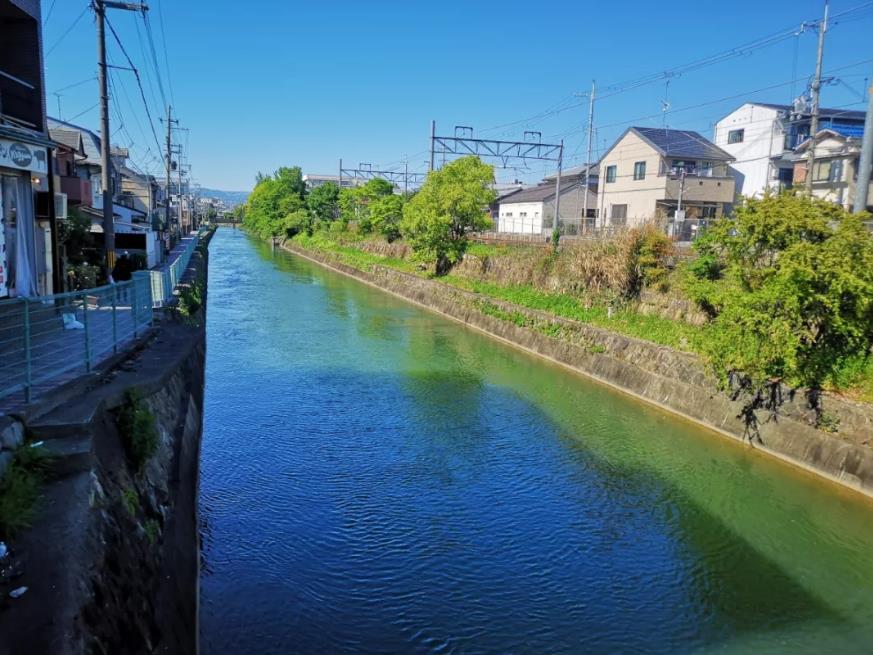 1557452195615573.jpg 24.jpg