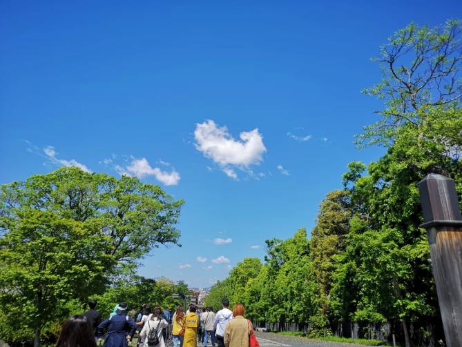 1557452211811282.jpg 25.jpg